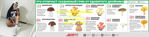 прущая мука Пестово