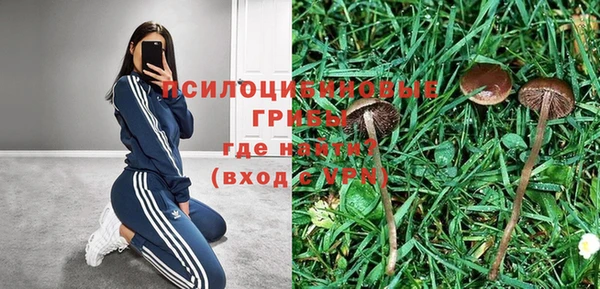 прущая мука Пестово
